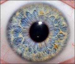 Dilation of pupils