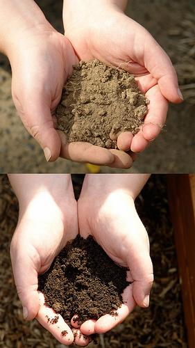 Disorder of eating dirt