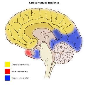 Disorder of the nervous system