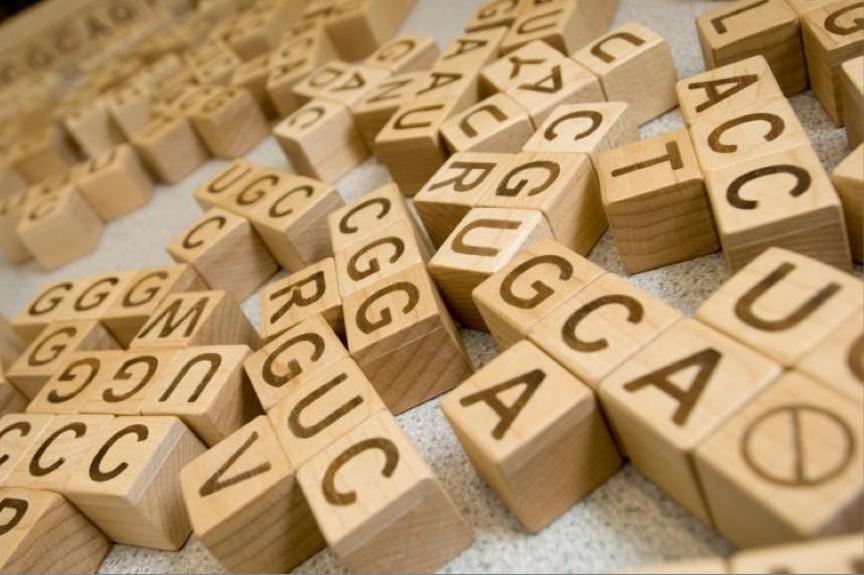 dna-wood-cubes.jpg