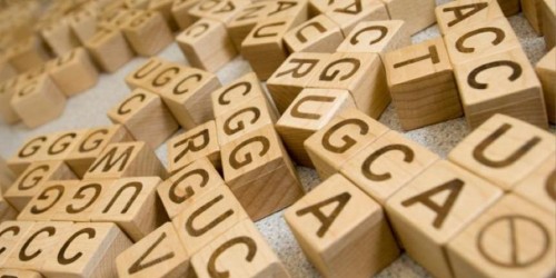 The 16 Most Common Genetic Diseases