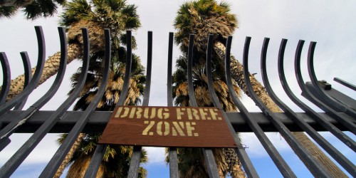 Options In Drug And Alcohol Detox