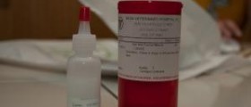 Ear drops for pain