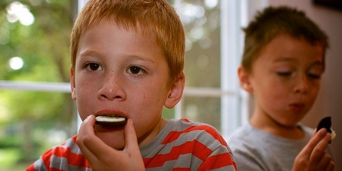 Oreos Are Addictive, Connecticut College Students Find