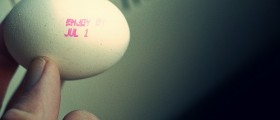 Food Past Its Sell-By Date? Don't Be Too Quick To Throw It Out