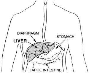 Elevated alkaline phosphatase levels
