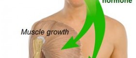 Endocrine system failure