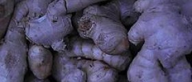 Erectile dysfunction and ginger root