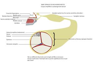 Erectile dysfunction diagnosis