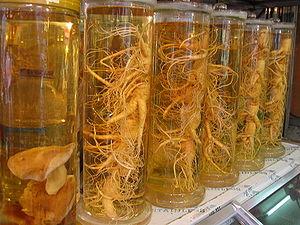 Erectile dysfunction herbal treatment