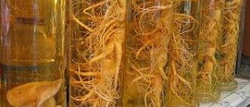 Erectile dysfunction herbal treatment