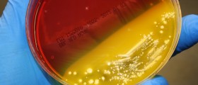E. Coli - New Treatment Options