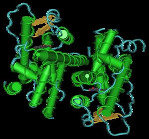 Estrogen and breast cancer