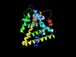 Estrogen for osteoporosis
