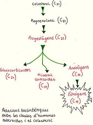 Estrogen uses: Imbalance of estrogen in the body