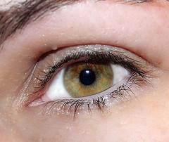 Eye health check up