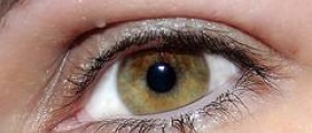 Eye health check up