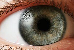 Eye infections and contact lenses