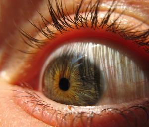 Eye transplant facts