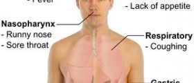 Facts about Myalgic encephalomyelitis/chronic fatigue syndrome (ME/CFS)