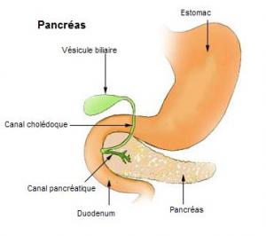 Facts on chronic pancreatitis