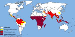 Family health international