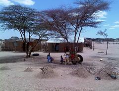 Family health international in Kenya - Programs and research