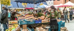 Budget Food: Cheap And Healthy Meals For Beginners