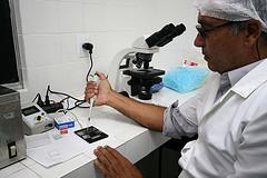 Fertility tests for men