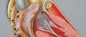 Fetal monitoring types: Heart rate monitoring