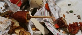 World Environment Day - How You Can Contribute