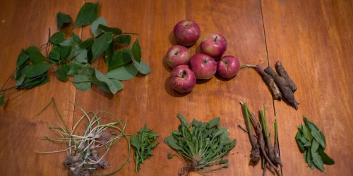 Foraging For Fresh Food: A Beginners' Guide