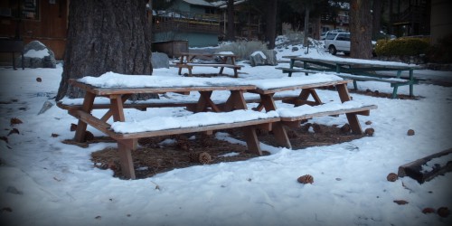 Boosting Your Immune System Naturally This Winter