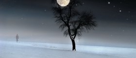 Transylvanian Effect - Full Moon