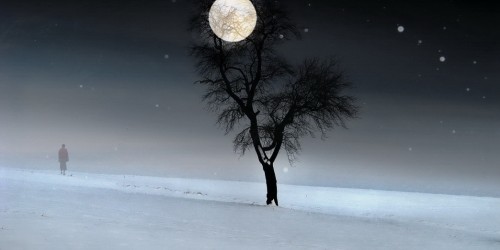 Transylvanian Effect - Full Moon