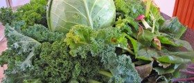 Don't Skip Your Green Vegetables!