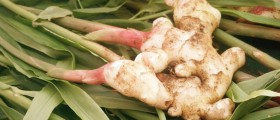 Natural Remedies for Arthritis
