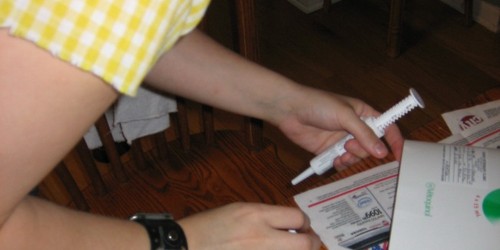 Interferon Treatment For Multiple Sclerosis