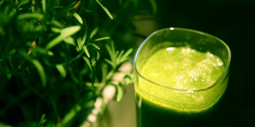 Should You Quit Drinking Green Smoothies?