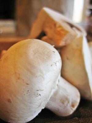 Health benefits of button mushrooms