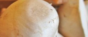Health benefits of button mushrooms