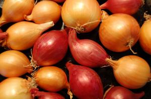 Health benefits of garlic and onion