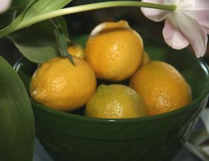 Healthy detox diet