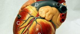 Heart transplant life expectancy