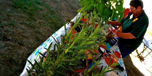 New Restrictions on Herbal Remedies in the European Union