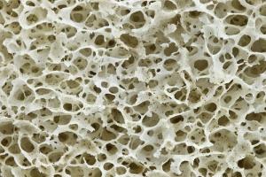 Herbs for strong bones
