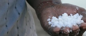 Not All Salt Is The Same. Which Is The Healthiest?