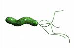 Home cures for bacterial vaginosis