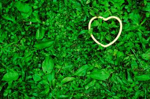 How can i control heart beat?