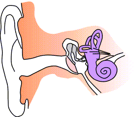 How to clean your ears